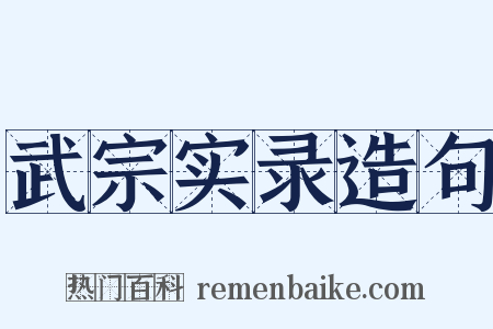 武宗实录造句是什么意思的图片